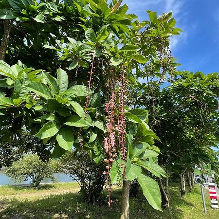 漫調子 Roaming Life B&B Wujie Buitenkant foto